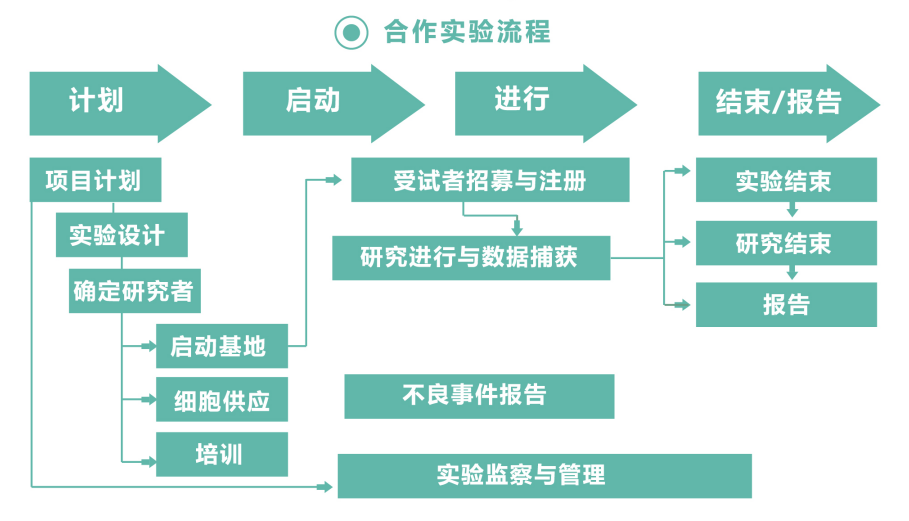 合作實驗流程.jpg