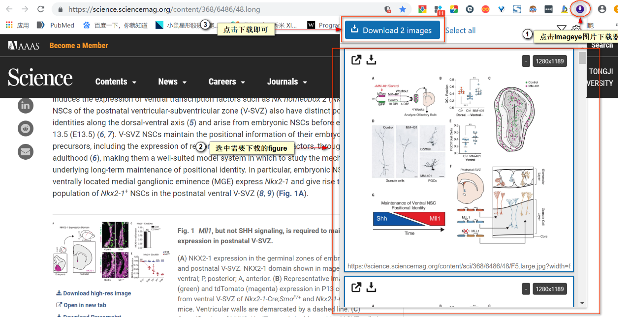 微信圖片_20200508095512.png